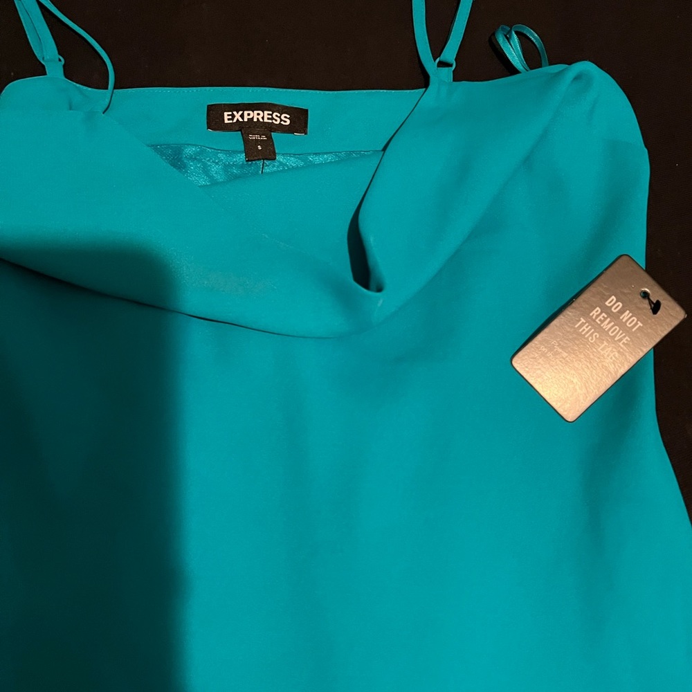 Express Dress - Picture 2 of 2